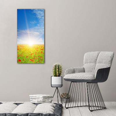 Vertikálny foto obraz akrylový na stenu Pole makov