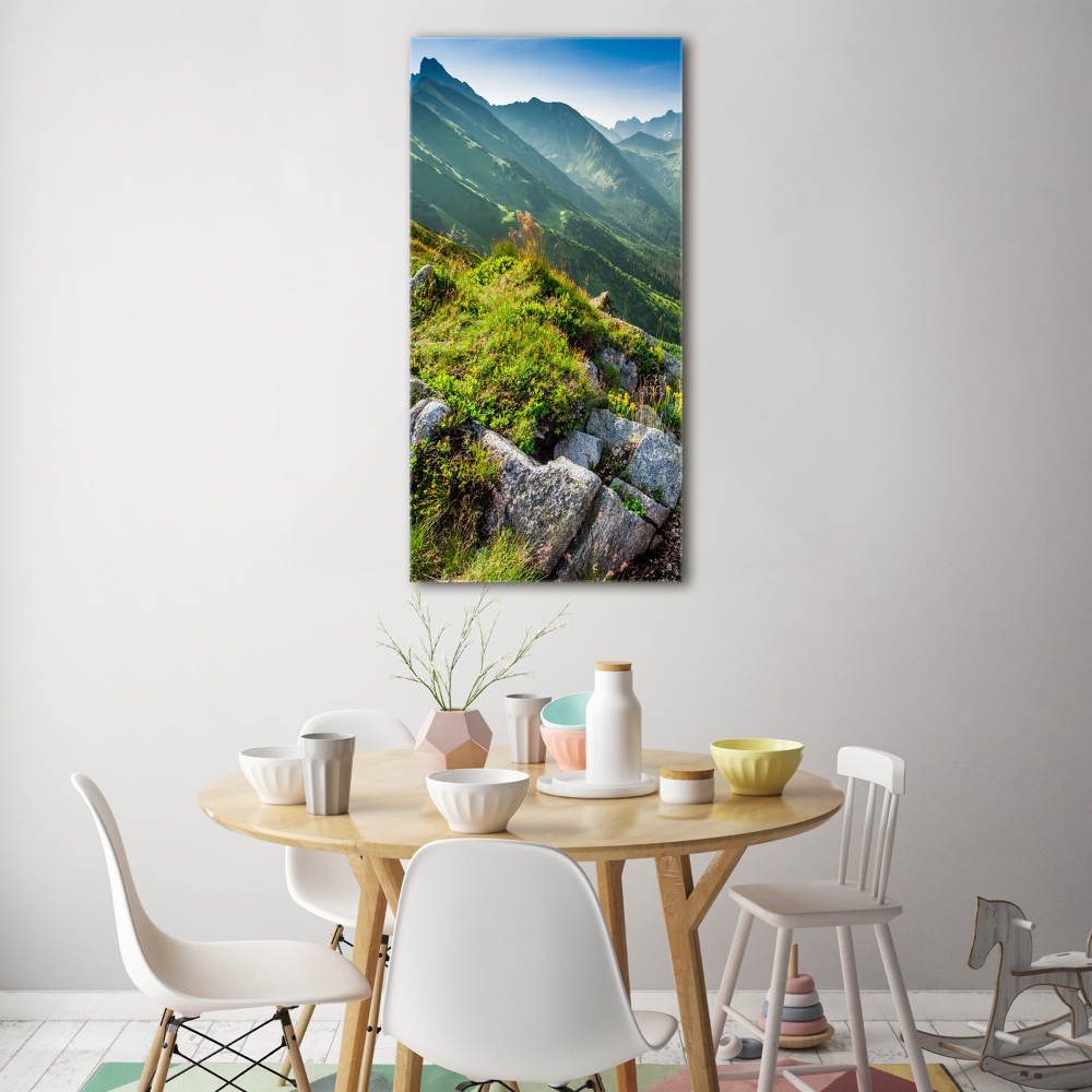 Vertikálny foto obraz akrylový na stenu Hory letom
