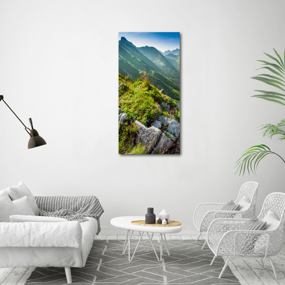 Vertikálny foto obraz akrylový na stenu Hory letom
