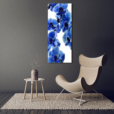 Vertikálny foto obraz akrylový Modrá orchidea