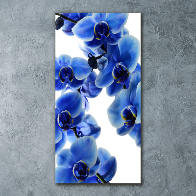 Vertikálny foto obraz akrylový Modrá orchidea