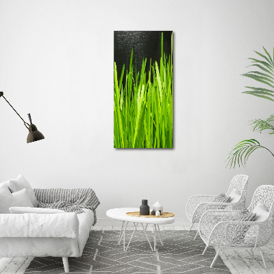Vertikálny moderný akrylový fotoobraz Steblo trávy