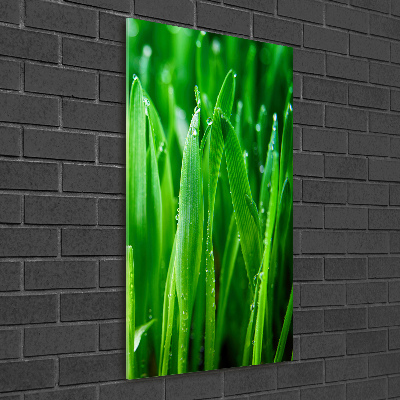 Vertikálny moderný akrylový fotoobraz Steblo trávy