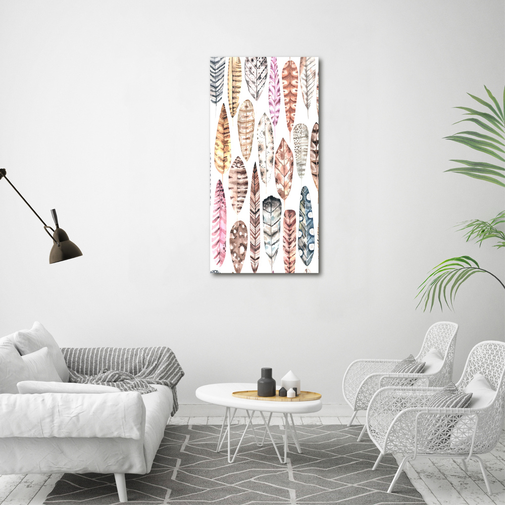 Vertikálny foto obraz akryl do obývačky Farebná pierka