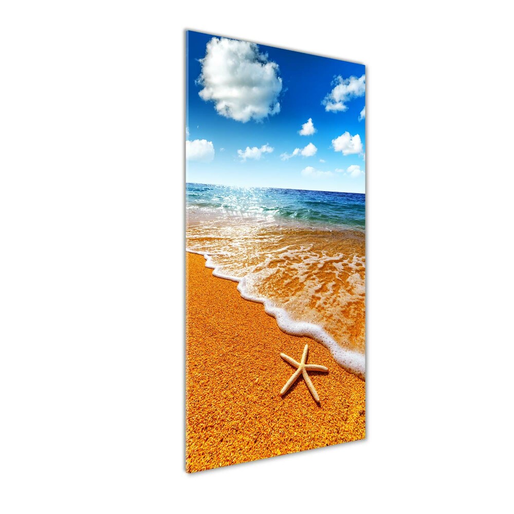 Vertikálny foto obraz akrylový Hviezdice na pláži