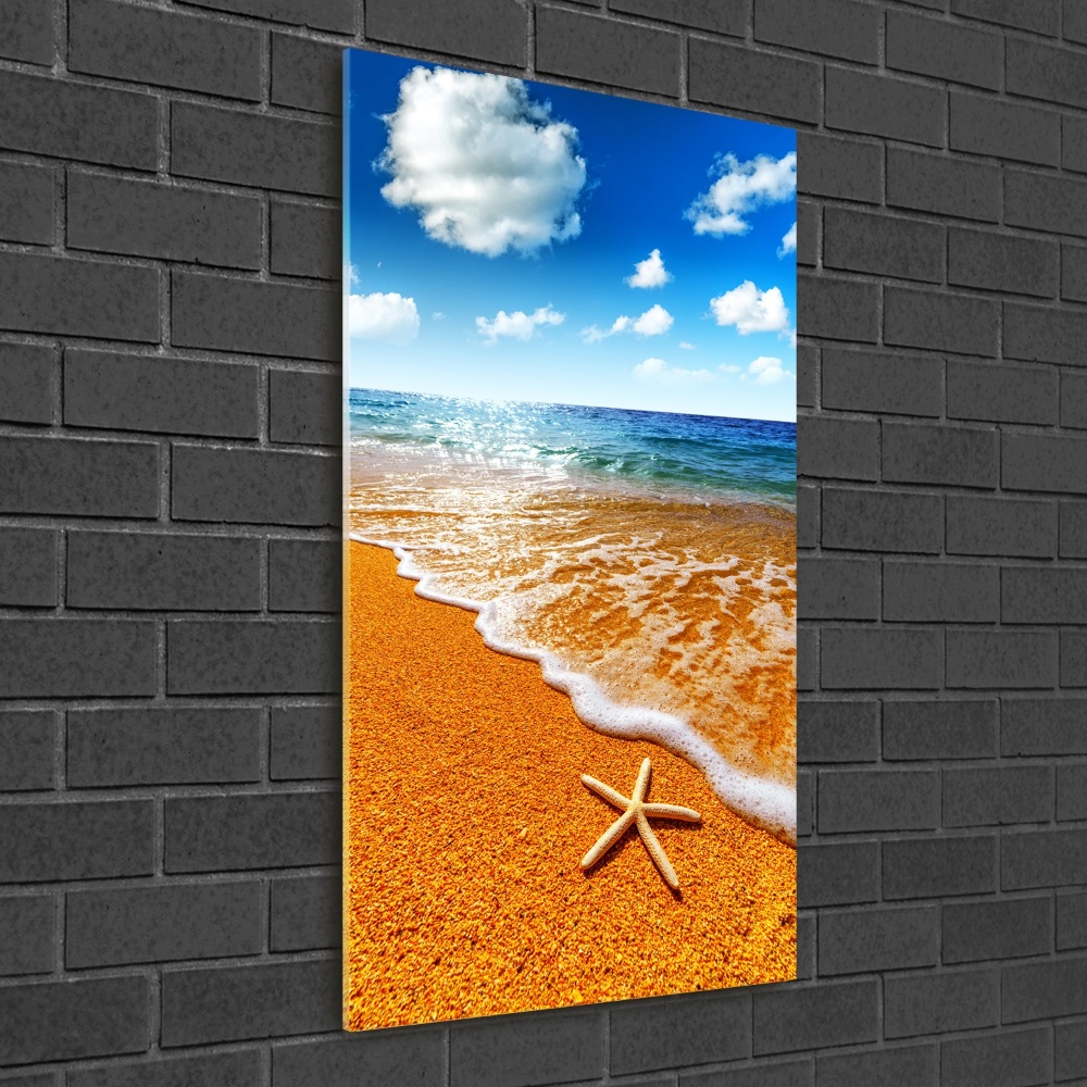 Vertikálny foto obraz akrylový Hviezdice na pláži