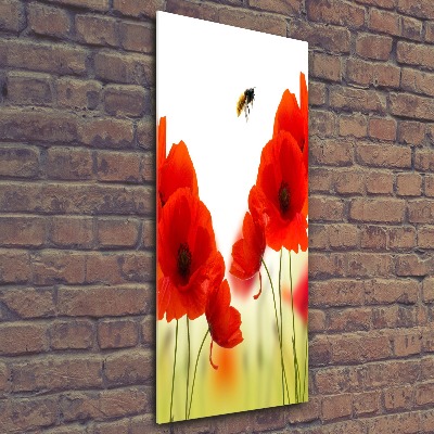 Vertikálny foto obraz akrylový na stenu Poľné maky