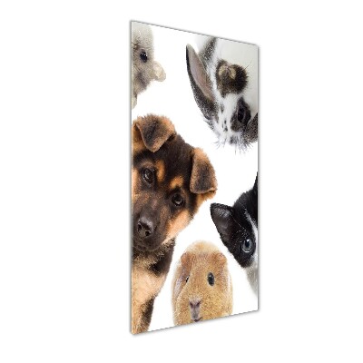 Vertikálny foto obraz akrylové sklo Domáce zvieratá