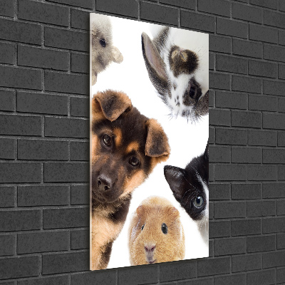 Vertikálny foto obraz akrylové sklo Domáce zvieratá