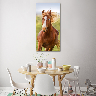 Vertikálny foto obraz akrylový do obývačky Kôň v pokluse