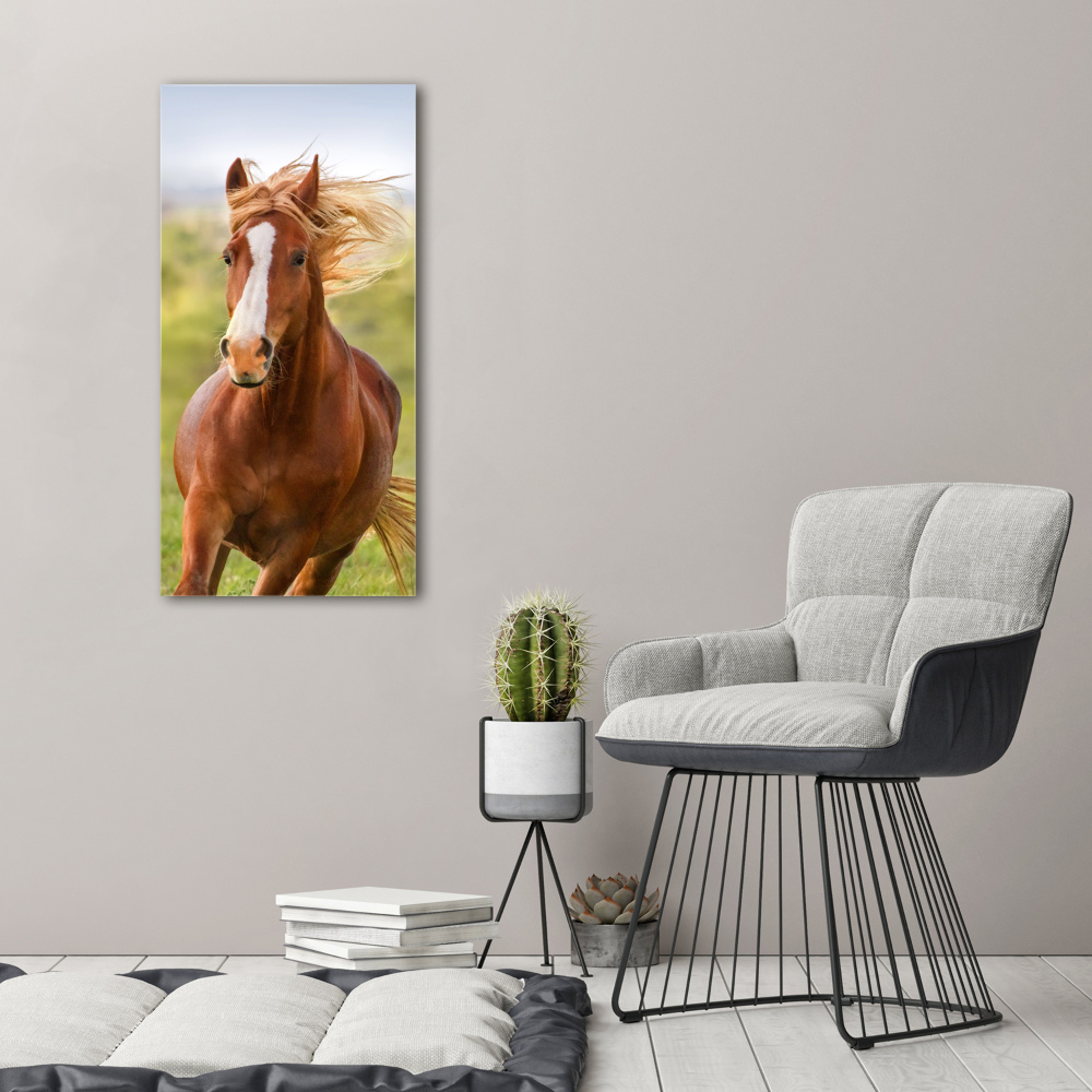 Vertikálny foto obraz akrylový do obývačky Kôň v pokluse