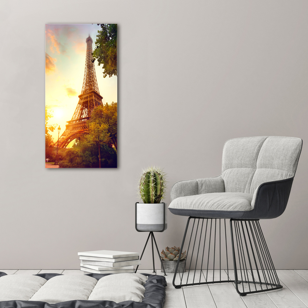 Vertikálny foto obraz akrylový Eiffelová veža Paríž