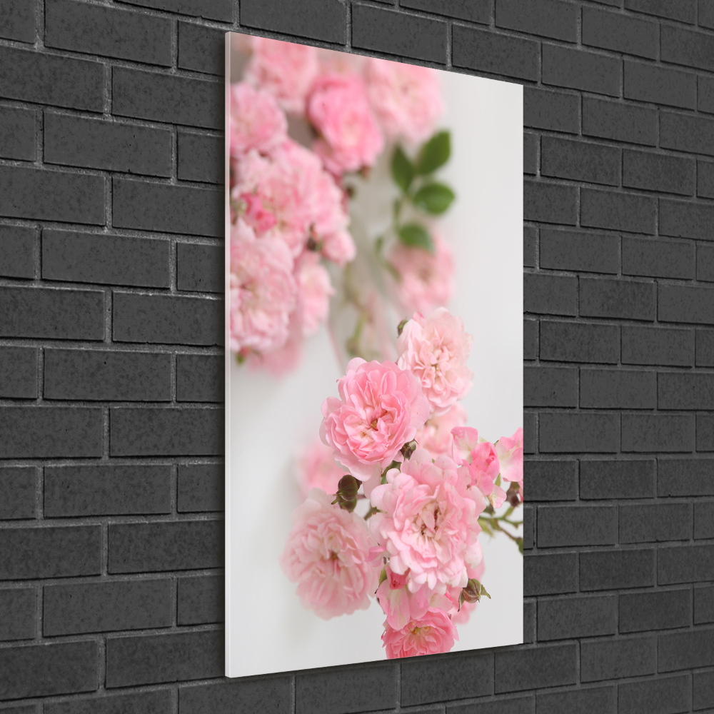 Vertikálny foto obraz akrylový na stenu Divoká ruža