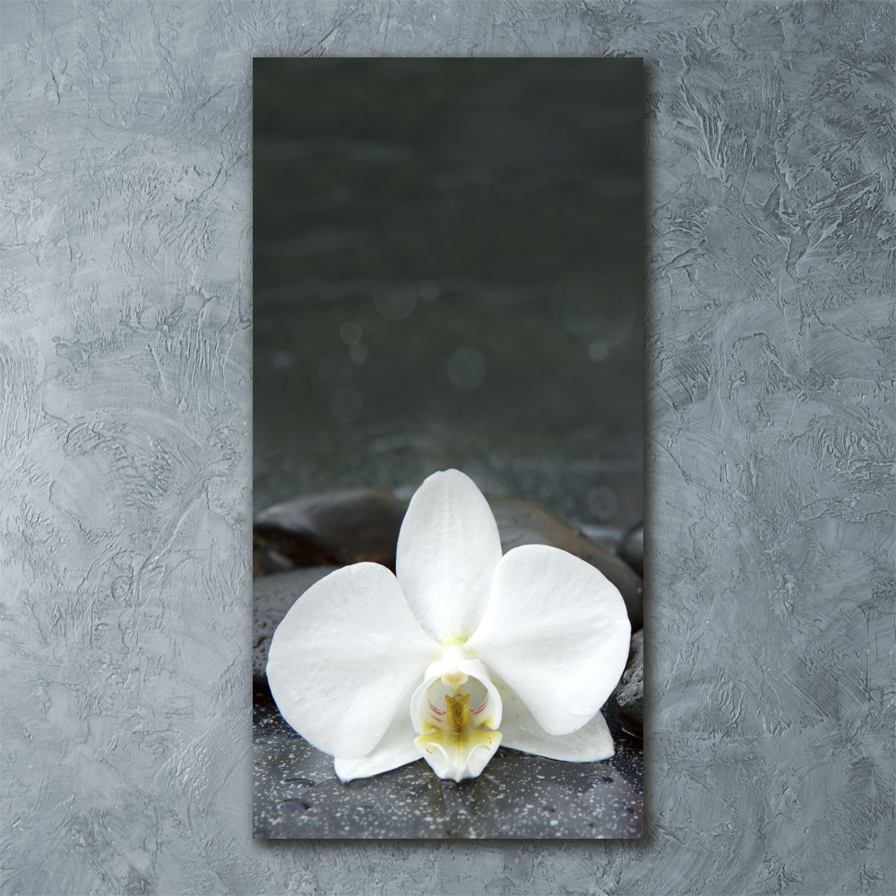 Vertikálny foto obraz akrylový Orchidea kamene