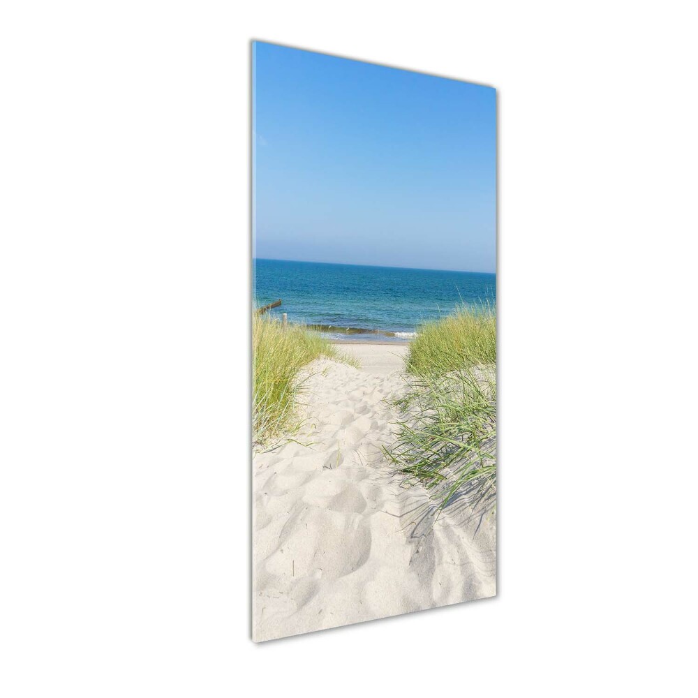 Vertikálny foto obraz akrylové sklo Morské duny