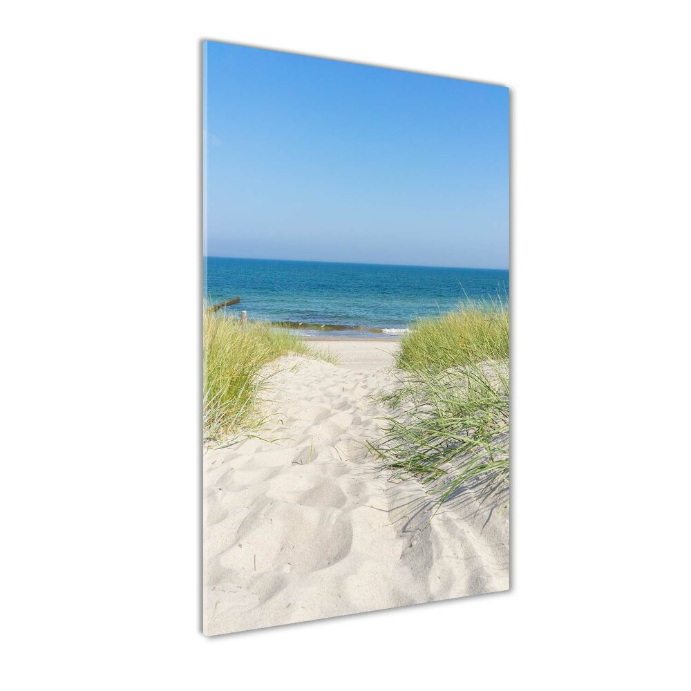 Vertikálny foto obraz akrylové sklo Morské duny