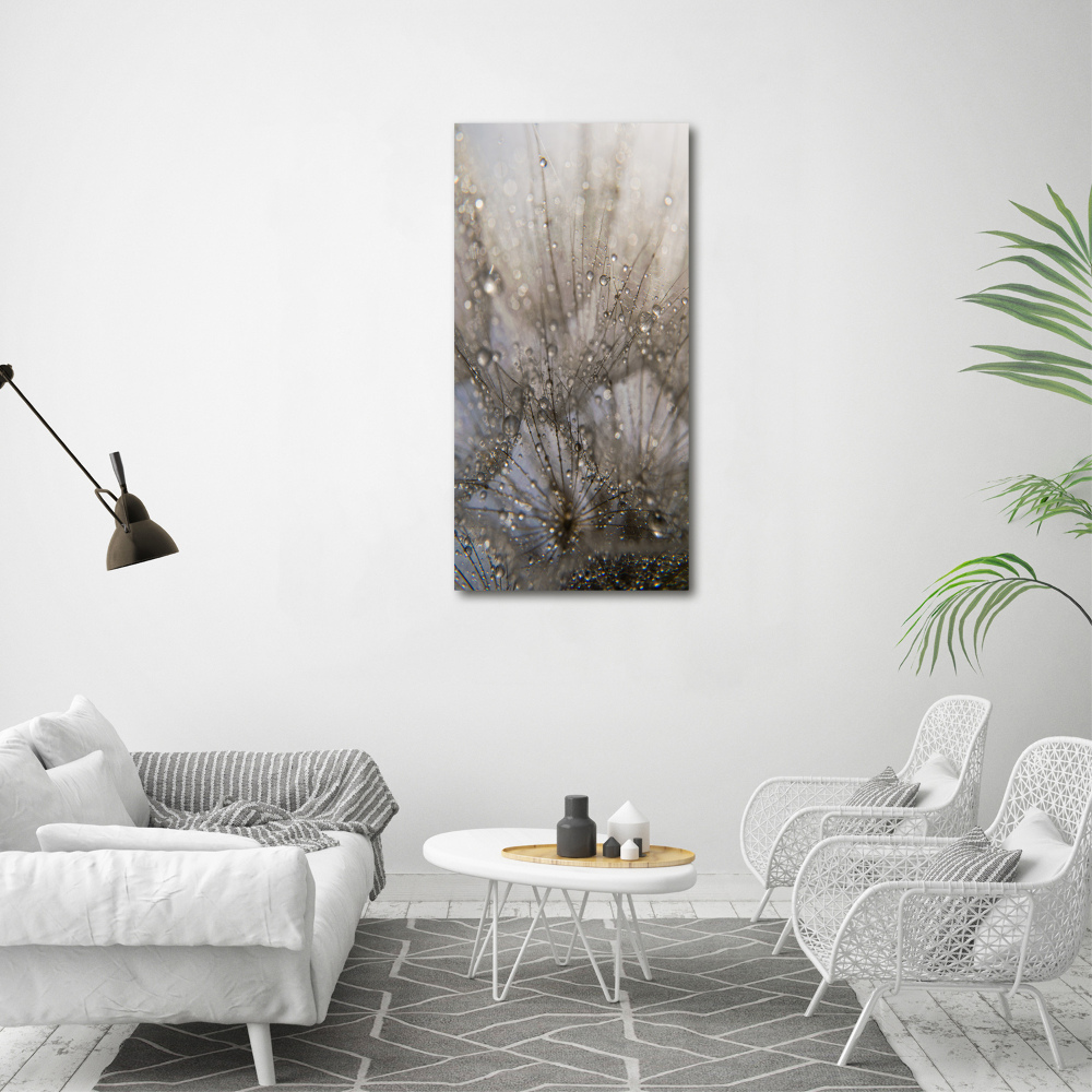 Vertikálny foto obraz akrylový Semená púpavy