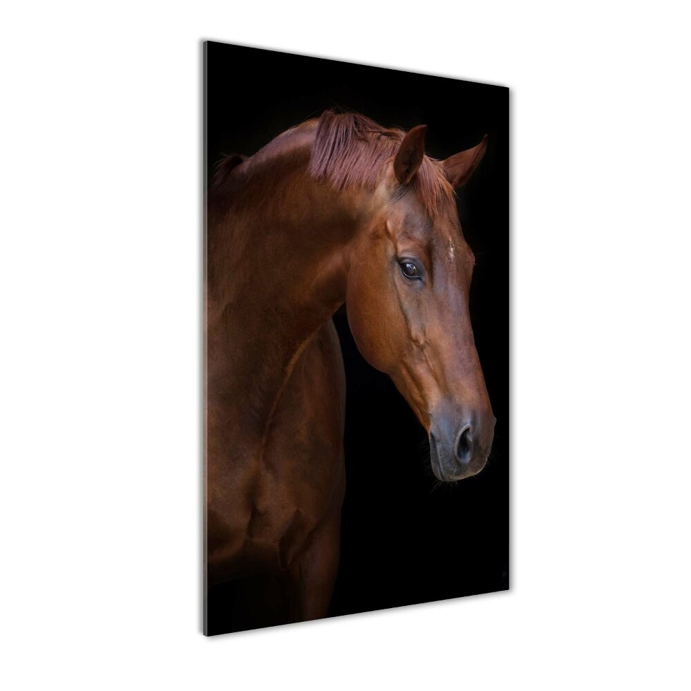 Vertikálny foto obraz akrylový do obývačky Portrét koňa