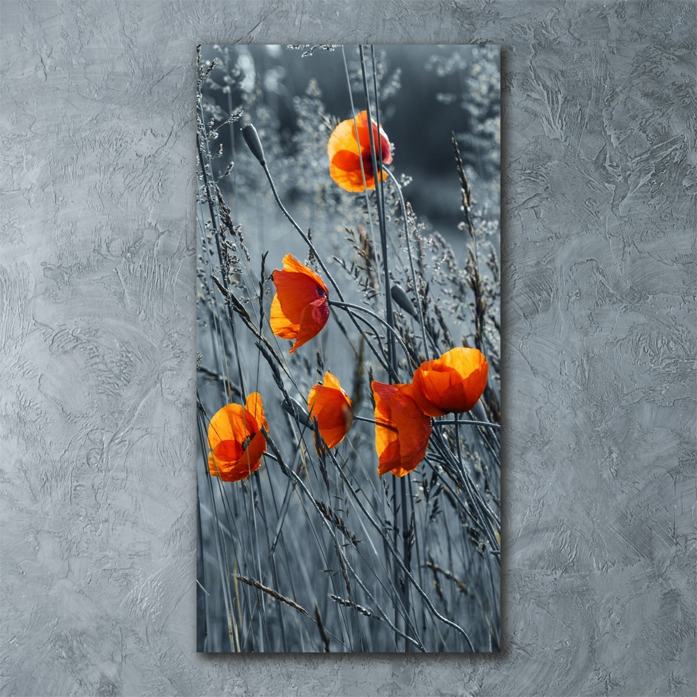 Vertikálny foto obraz akrylový na stenu Poľné maky