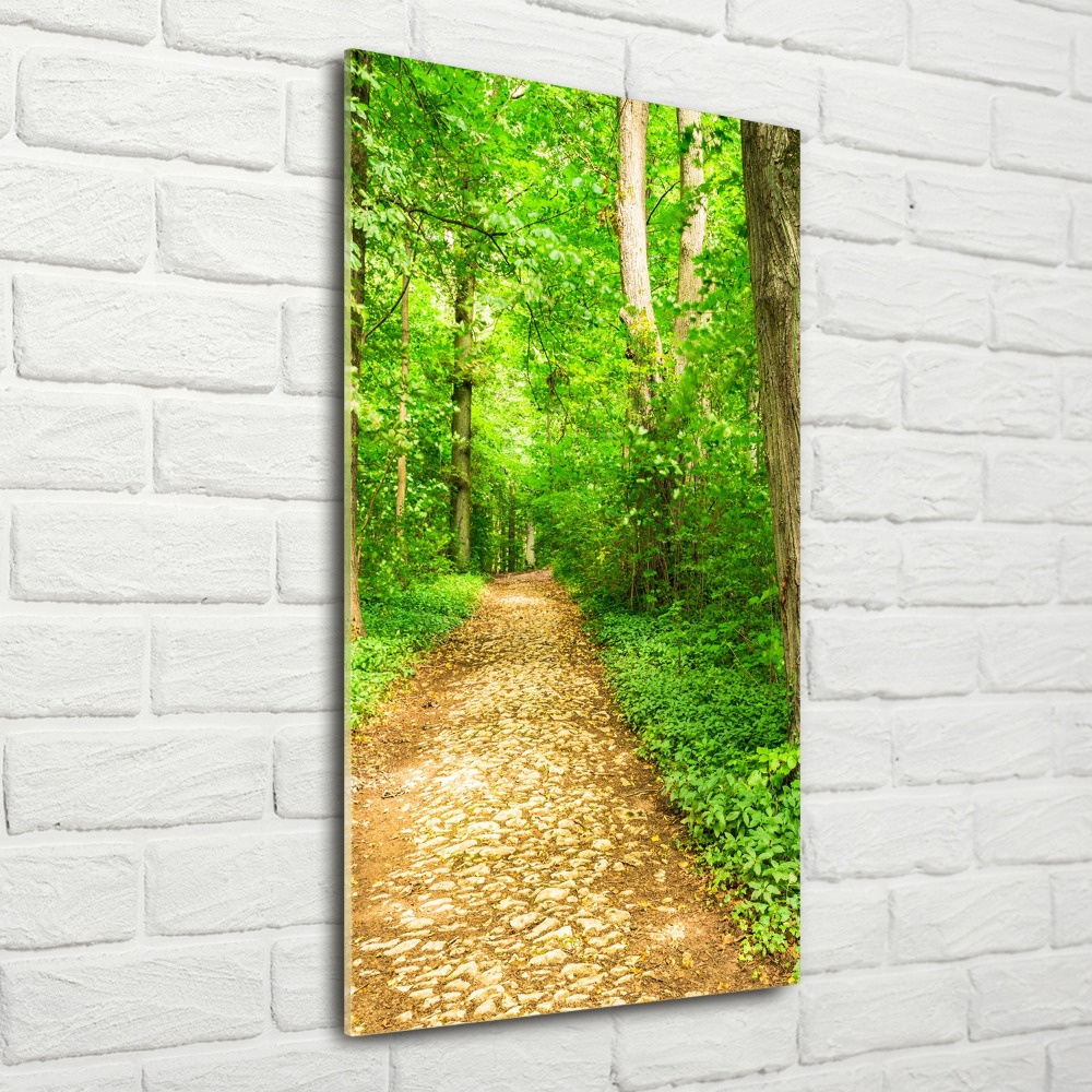 Vertikálny foto obraz akrylové sklo Chodník v lese