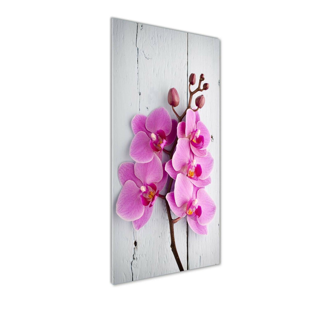 Vertikálny foto obraz akrylové sklo Ružová orchidea