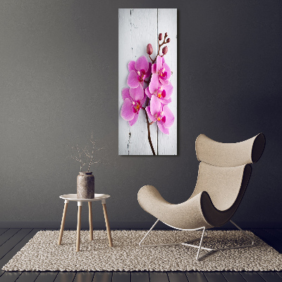 Vertikálny foto obraz akrylové sklo Ružová orchidea