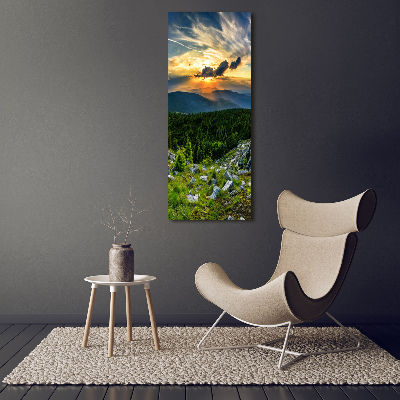 Vertikálny moderný akrylový fotoobraz Panoráma hôr