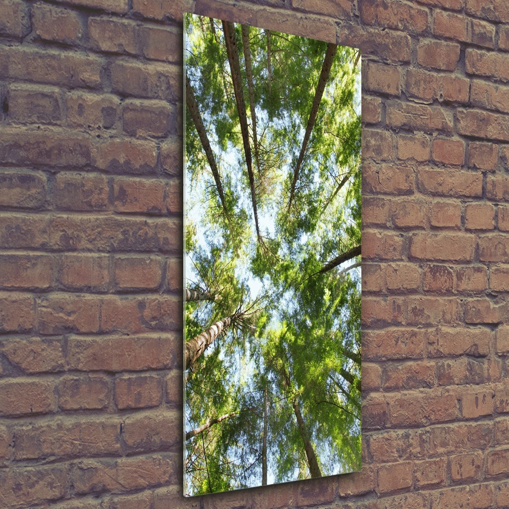 Vertikálny moderný akrylový fotoobraz Koruna stromov