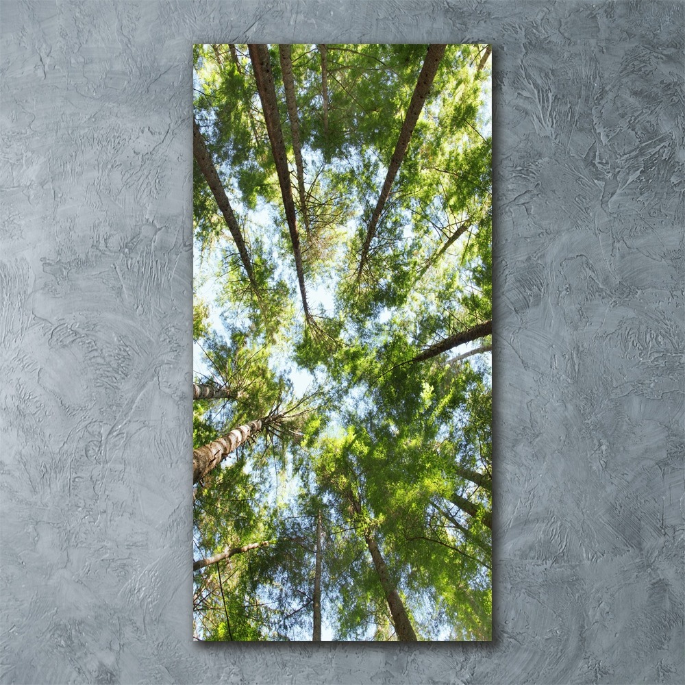 Vertikálny moderný akrylový fotoobraz Koruna stromov