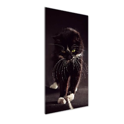 Vertikálny foto obraz akrylový na stenu Čierna mačka