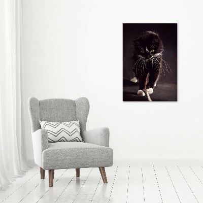 Vertikálny foto obraz akrylový na stenu Čierna mačka