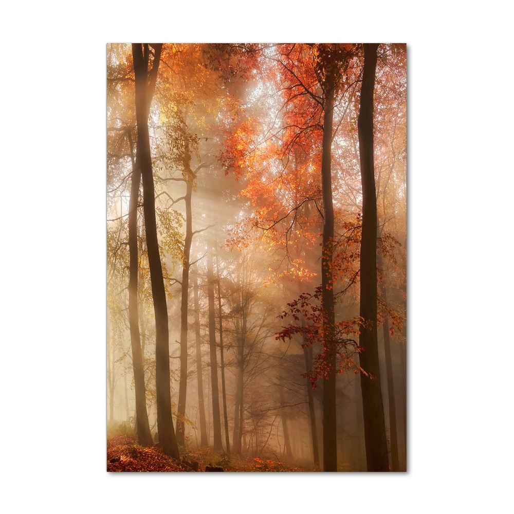 Vertikálny moderný akrylový fotoobraz Les na jeseň