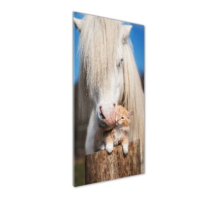 Vertikálny foto obraz akrylový Biely kôň s mačkou