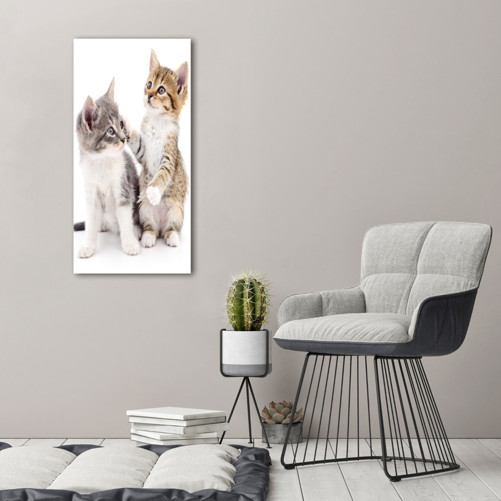 Vertikálny foto obraz akrylový do obývačky Dve malé mačiatka