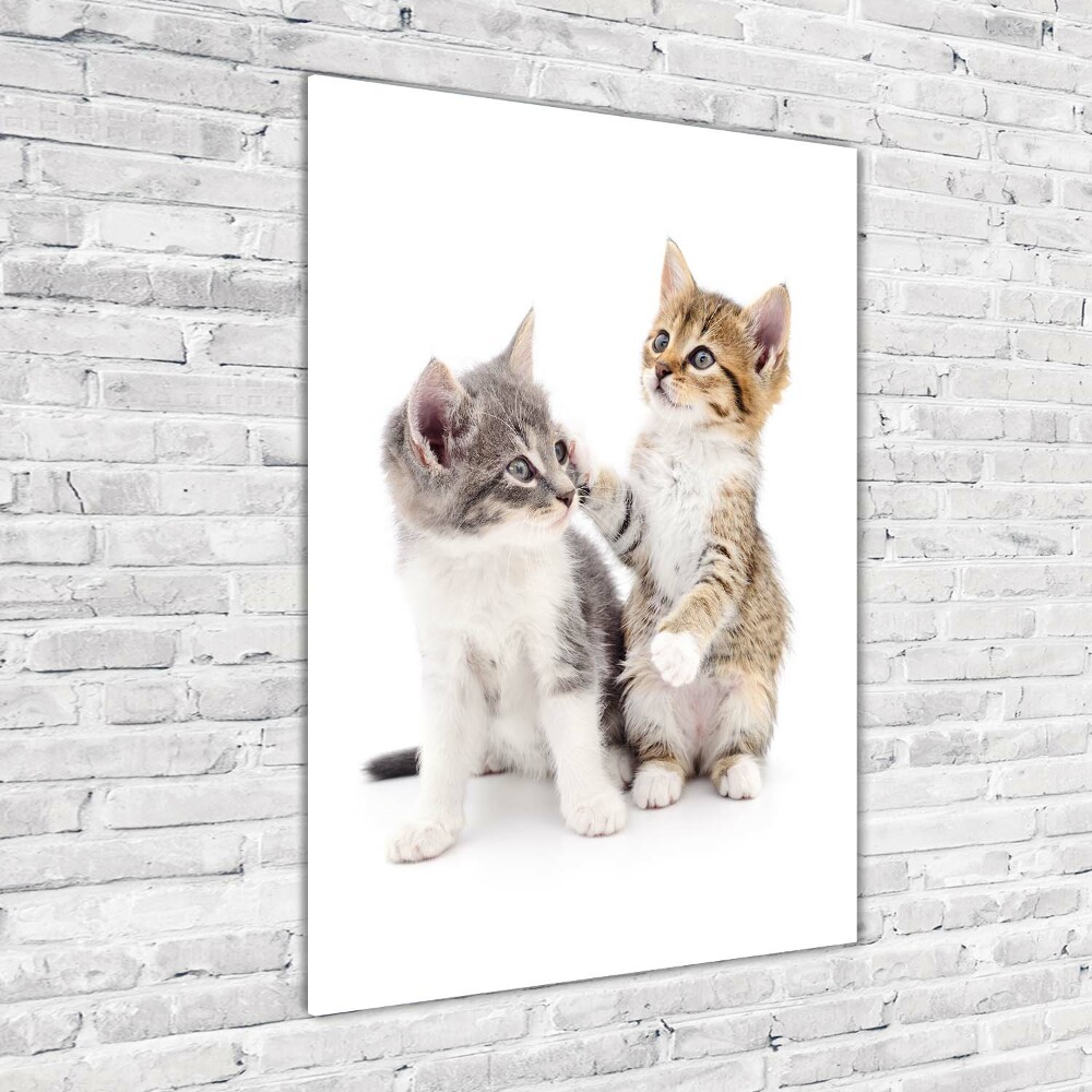 Vertikálny foto obraz akrylový do obývačky Dve malé mačiatka