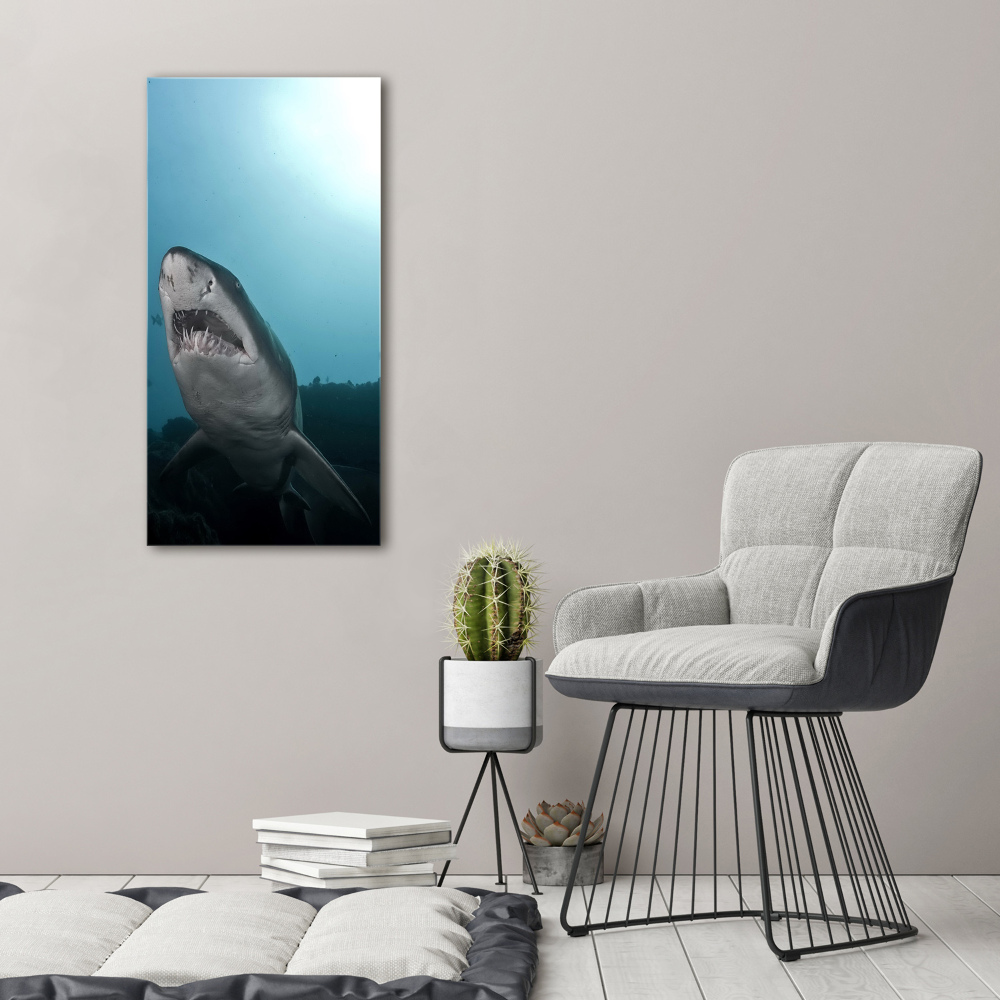 Vertikálny foto obraz akrylový na stenu Veľký žralok