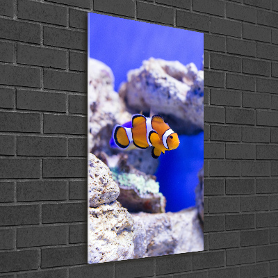 Vertikálny foto obraz akrylový na stenu Ryba Nemo