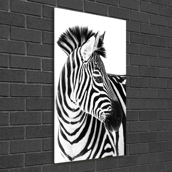 Vertikálny foto obraz akryl do obývačky Zebra na snehu