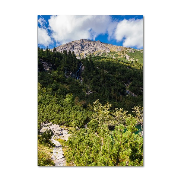 Vertikálny foto obraz akrylový Morské oko Tatry