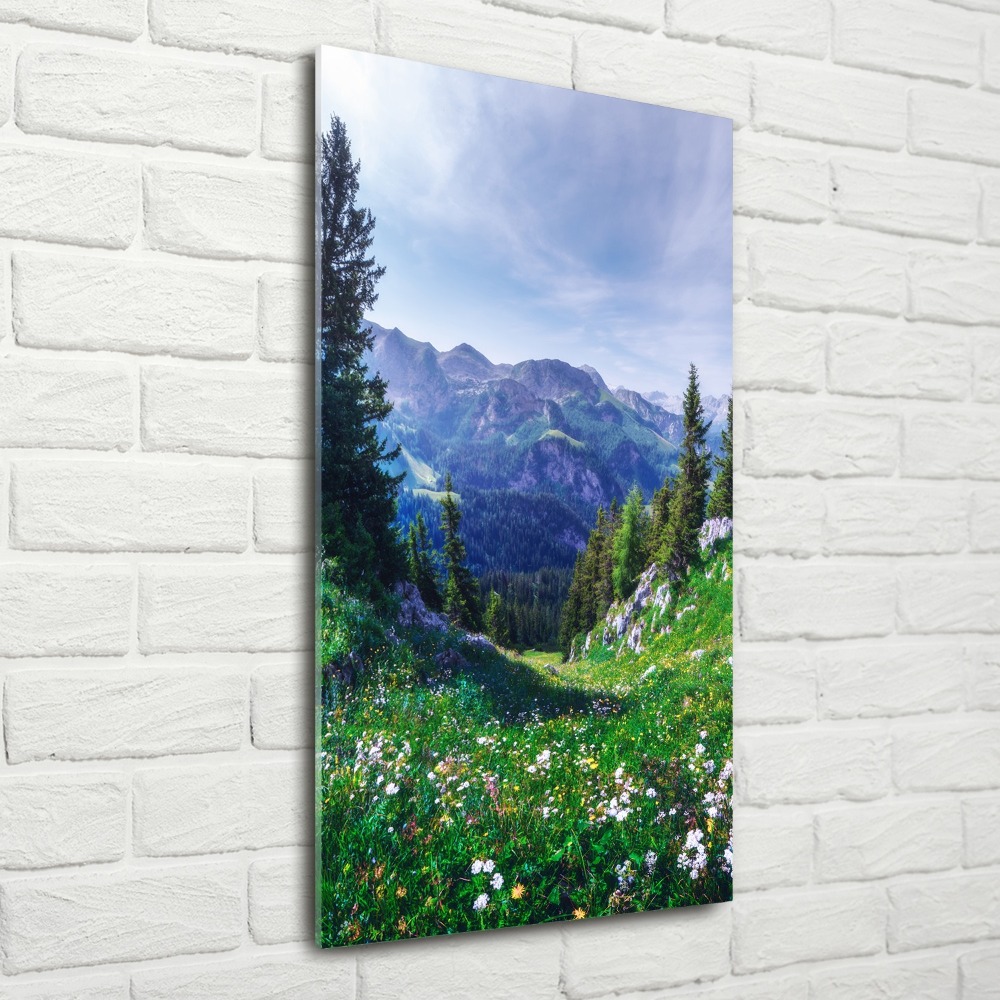 Vertikálny moderný obraz fotografie na akrylu Alpy
