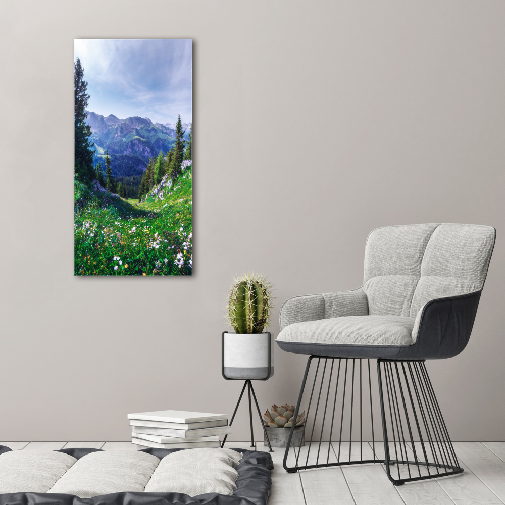 Vertikálny moderný obraz fotografie na akrylu Alpy