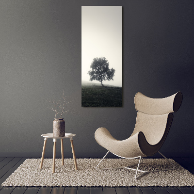 Vertikálny foto obraz akryl do obývačky Drevo v hmle