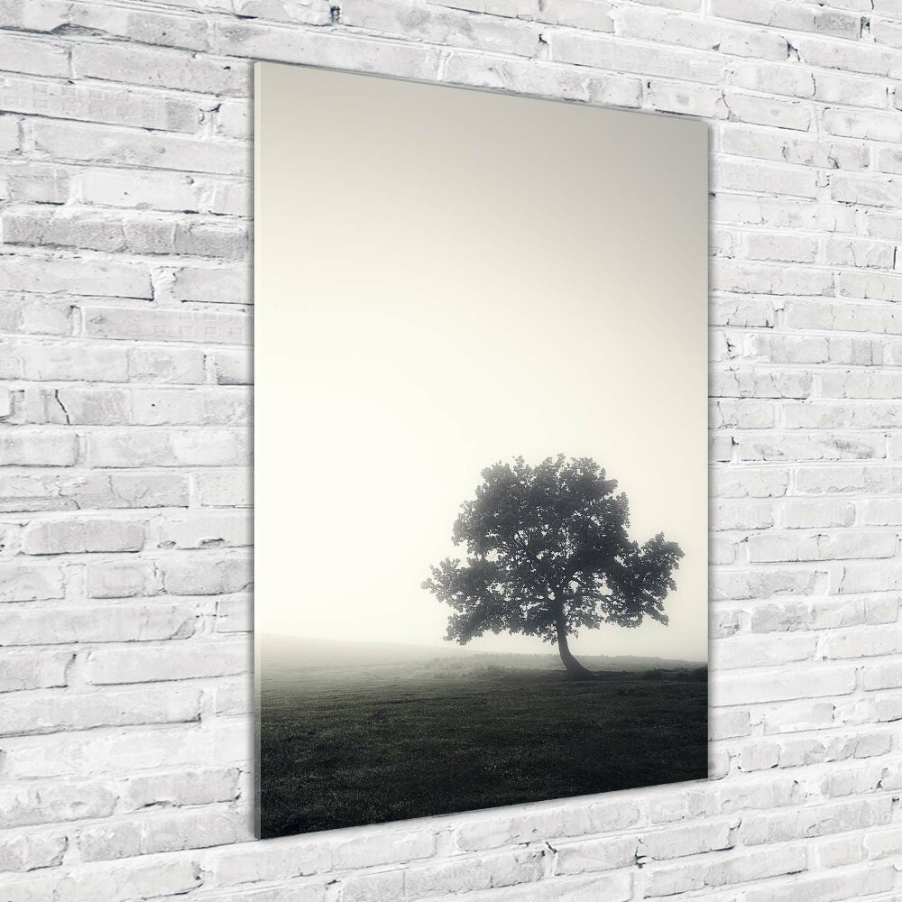 Vertikálny foto obraz akryl do obývačky Drevo v hmle