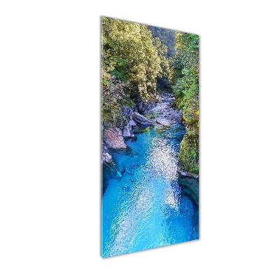 Vertikálny foto obraz akrylový do obývačky Rieka v lese