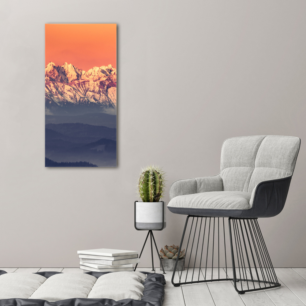 Vertikálny foto obraz akryl do obývačky Panorama Tatry