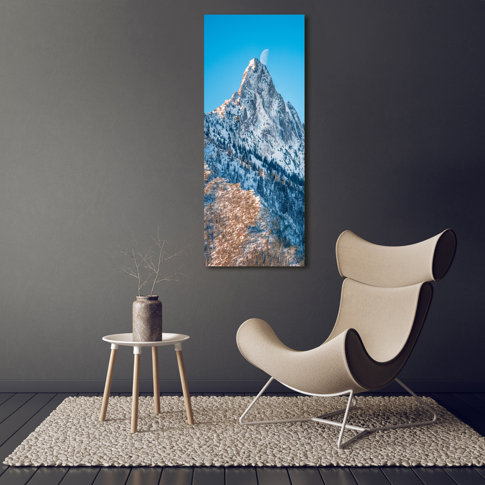 Vertikálny foto obraz akrylový do obývačky Gievont Tatry