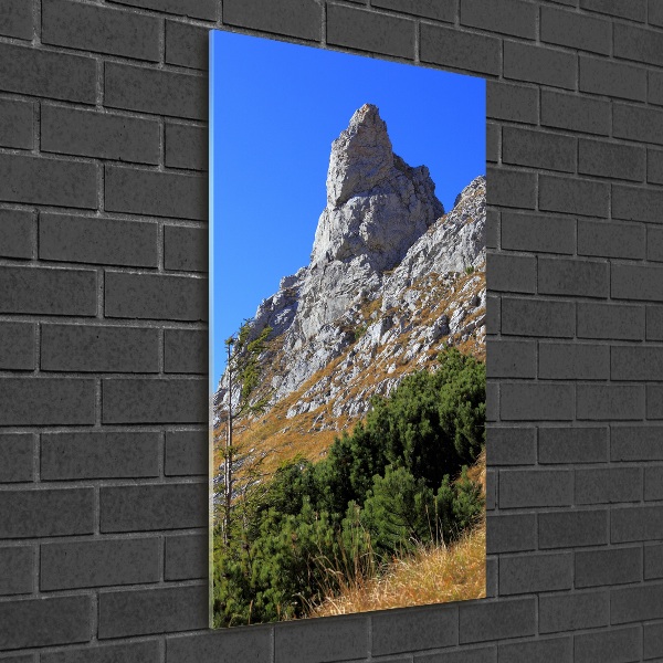 Vertikálny foto obraz akrylový Malý Giewont Tatry