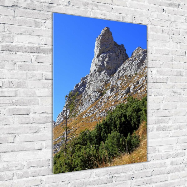 Vertikálny foto obraz akrylový Malý Giewont Tatry