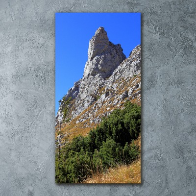 Vertikálny foto obraz akrylový Malý Giewont Tatry