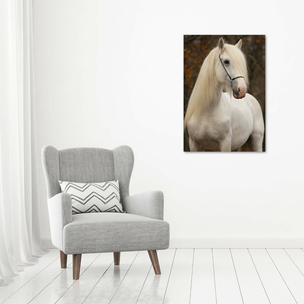 Vertikálny foto obraz akrylový na stenu Biely kôň